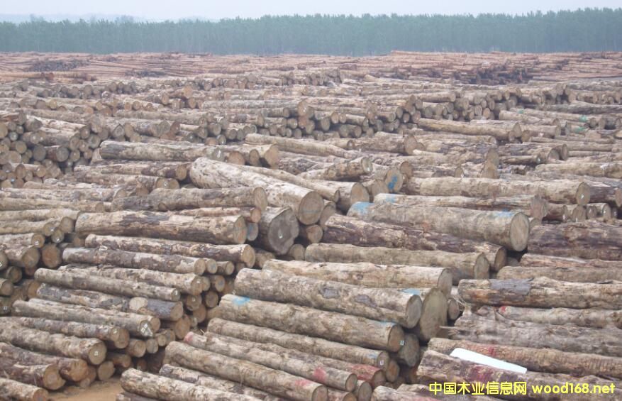 ľ���YԴ��(gu��)�H�l(f��)�����µ�ȫ��ľ�ĺ�ľ�Įa(ch��n)Ʒ�Ј�(ch��ng)��(b��o)��