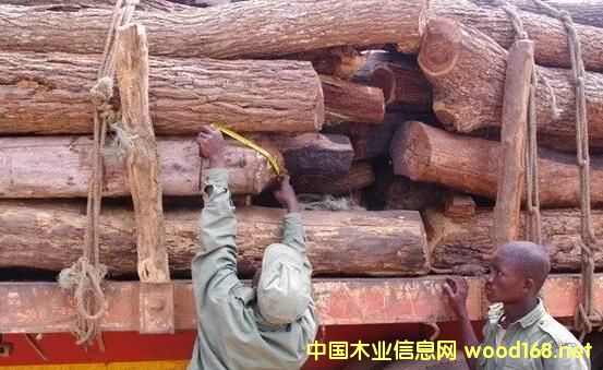 Īɣ�ȿ�ľ�Č�ȫ�����,�tľ�Ј�(ch��ng)�@9�Nľ��ֱ������!