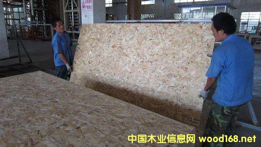 ������Ј��{�Ј�棺�ٻ��������S���ƼҾ߿������L OSB�@�l(f��)