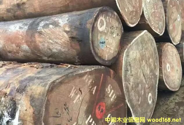 ɳ����ľ���Ј�(ch��ng)�����{(di��o)�飺�̼ҟo(w��)����(r��n)���� �Ј�(ch��ng)�r(ji��)��߀���^�m(x��)�µ�