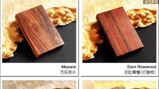 �����ڰ��M��ԭľ���F(xi��n)���l(f��)�����L �������Fԭľ