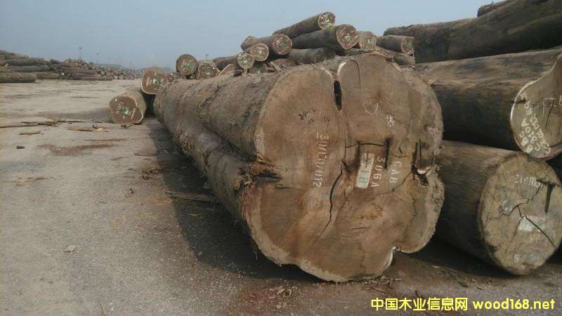 ����Ϳ���¡ľ�ĳ��ڲ�����(d��o)��(gu��)������p��