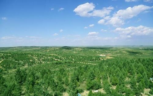 �������֘I(y��)��2020���������M(j��n)���(xi��ng)���c(di��n)����