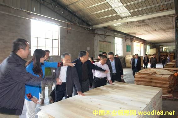 �R�����mɽ�^(q��)�����Ї�10��ľ�I(y��)�a�I(y��)��Ⱥ