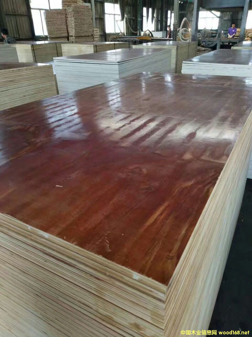 �ߙn����ģ��S�����]�����K���(y��ng)�h��ɭԴľ�I(y��)