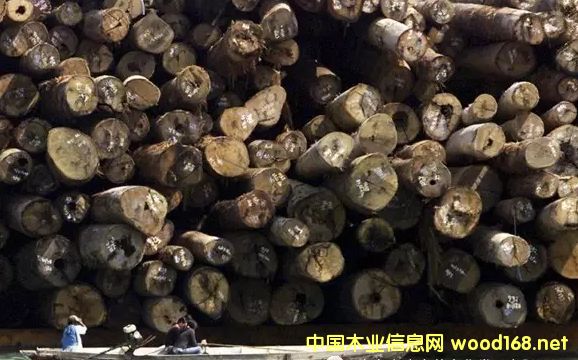 ���޼tľ����Խ��Խ�y��δ���Ј��Ͽ��ütľ߀ʣ���٣�