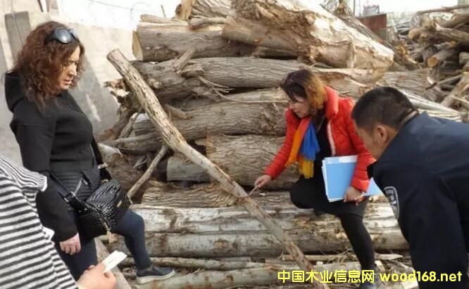 �½����o�h�֘I(y��)�֌�ݠ�^(q��)ľ�ļӹ��S�_չ(li��n)�ϙz��