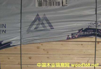 �����Ј��W�޲��M�������m(x��)����������ɼ����