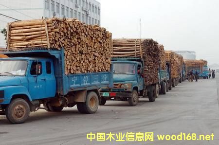 �V���ɞ����ϵ؅^(q��)��Ҫ��ľ���M���ڰ�֮һ