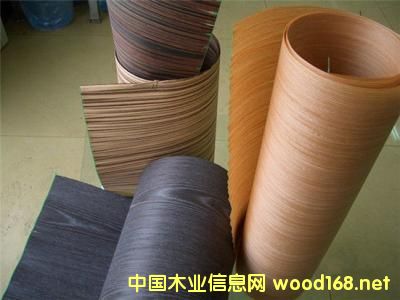 ȫ��Ƽ�ľ�Ј����L���^��2022�ꌢ�_(d��)413�|��Ԫ