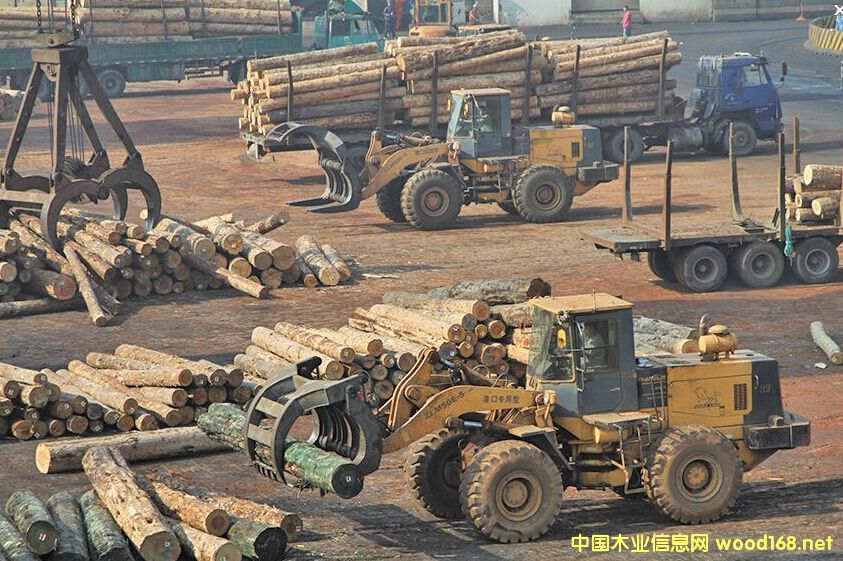 ���ڿڰ�һ�����M(j��n)��ԭľ؛ֵ���L118.5%