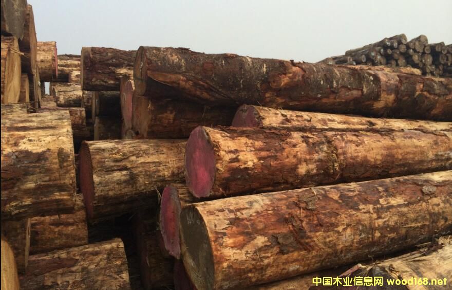 ��(y��u)�|(zh��)�o�{(l��n)׃ݗ���Ɏ�(k��)��漱�������������_����؛ģʽ