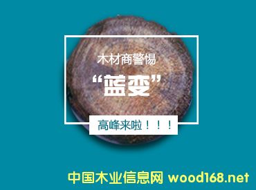 ������ľ��ԭ���ό��M(j��n)���{(l��n)׃�߷���