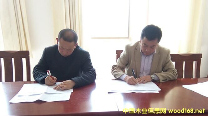 ɽ�|����ľ�I(y��)�����mɽ��ʢľ�I(y��)�����ƽ�ؿh�߶�ľ�I(y��)�a�I(y��)�@