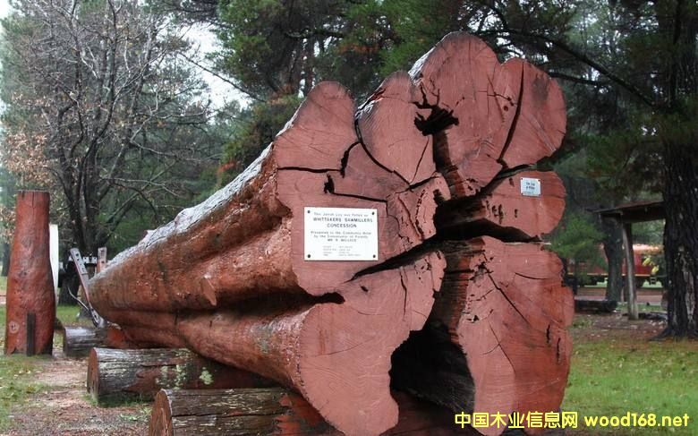 ľ�İٿƣ��Z��ľ���������׷Q����Ѫ̴