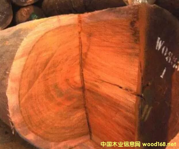 ����A�P���r���µ�