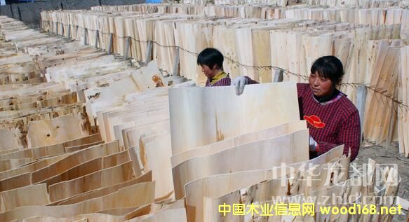 헳������(zh��n)��(y��u)�|(zh��)��Ƥ���N���K��ɽ�|�����յ�ʡ