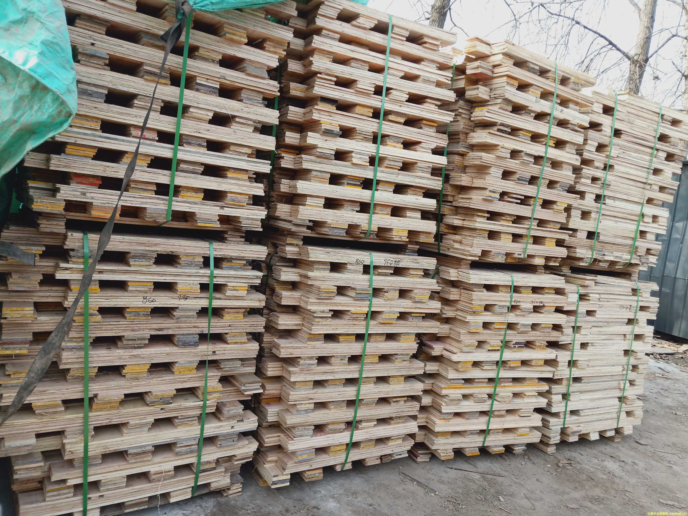 的詳細(xì)介紹