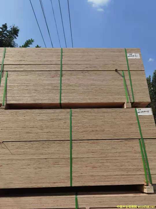 ȫ�����Ѭ��LVL���b�� LVL���Ӱ�ľ��