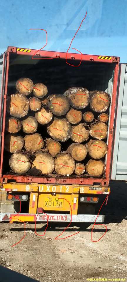 �ݿ���ɼԭľ��؛