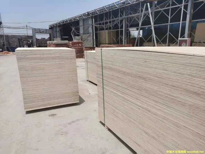  ��Ԕ��(x��)��B