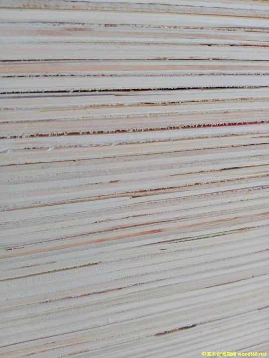  ��Ԕ��(x��)��B