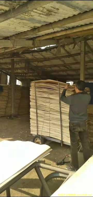 的詳細(xì)介紹