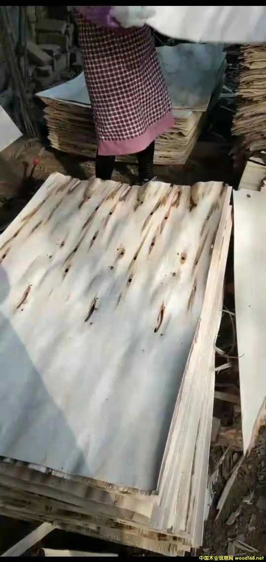  ��Ԕ����B