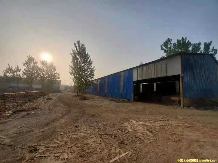  ��Ԕ��(x��)��B