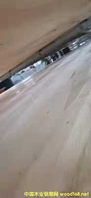  ��Ԕ����B