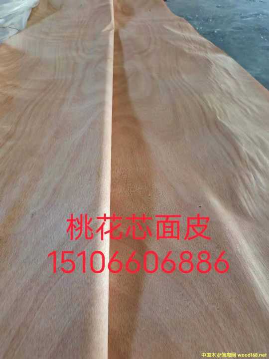  ��Ԕ����B