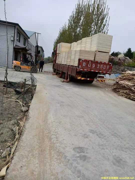  �бP���Ԕ��(x��)��B