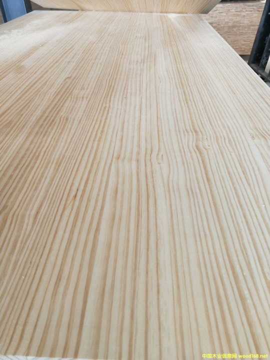 ������ľ��