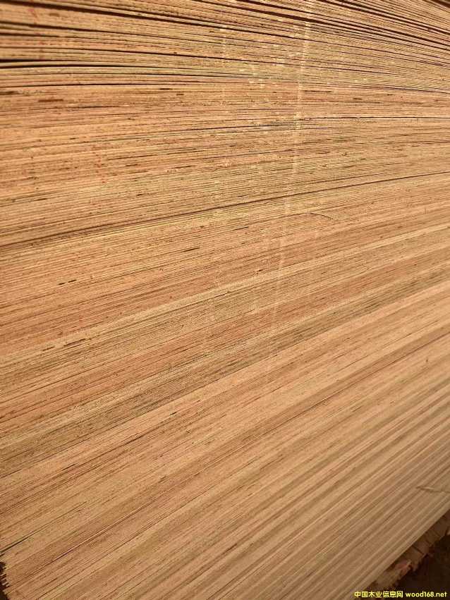  ��Ԕ����B