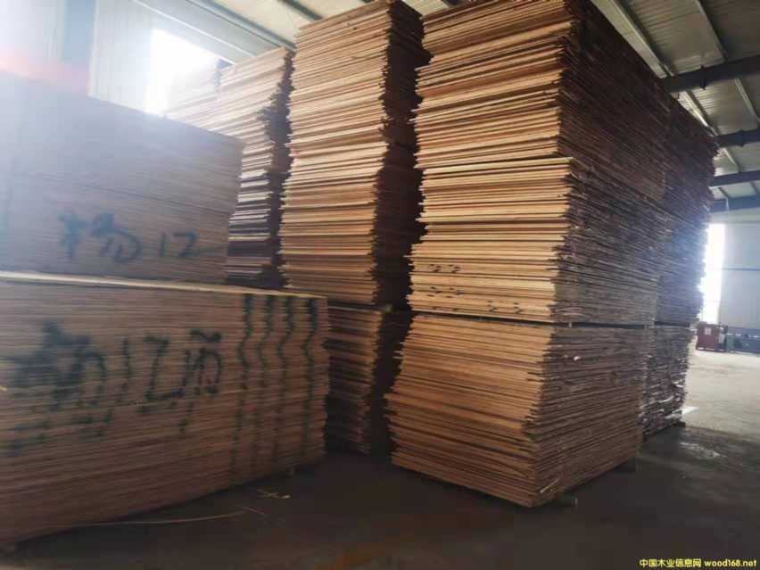 ����ȫ��ߙn�Ҿ߰����B(t��i)��