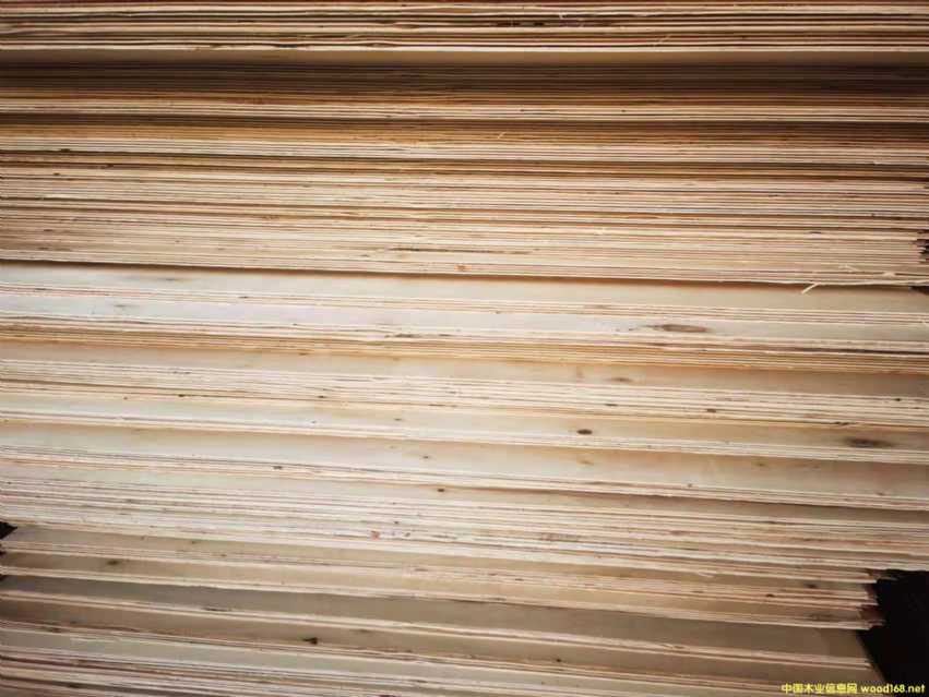 ������ȫ��ߙn�Ҿ߰����B(t��i)��