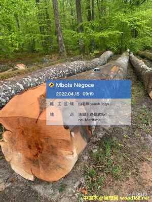 �W��ɽë��