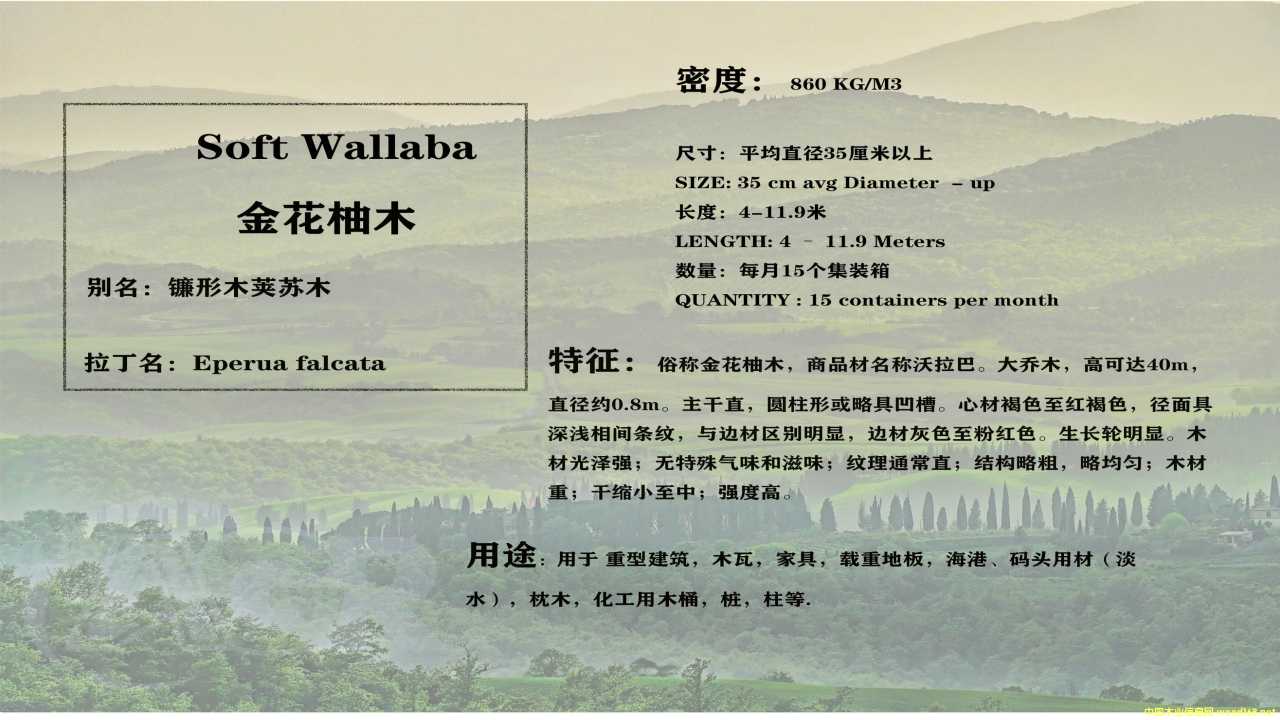 ����ľ��Ԕ��(x��)��B