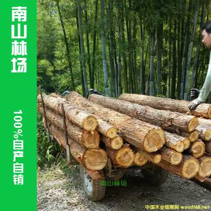 �ֈ�ֱ��-������ɼľ�� ɼľ�lɼľ�� ��������ʹ��ľ�� ���