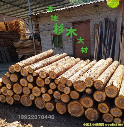 ������ɼľ��