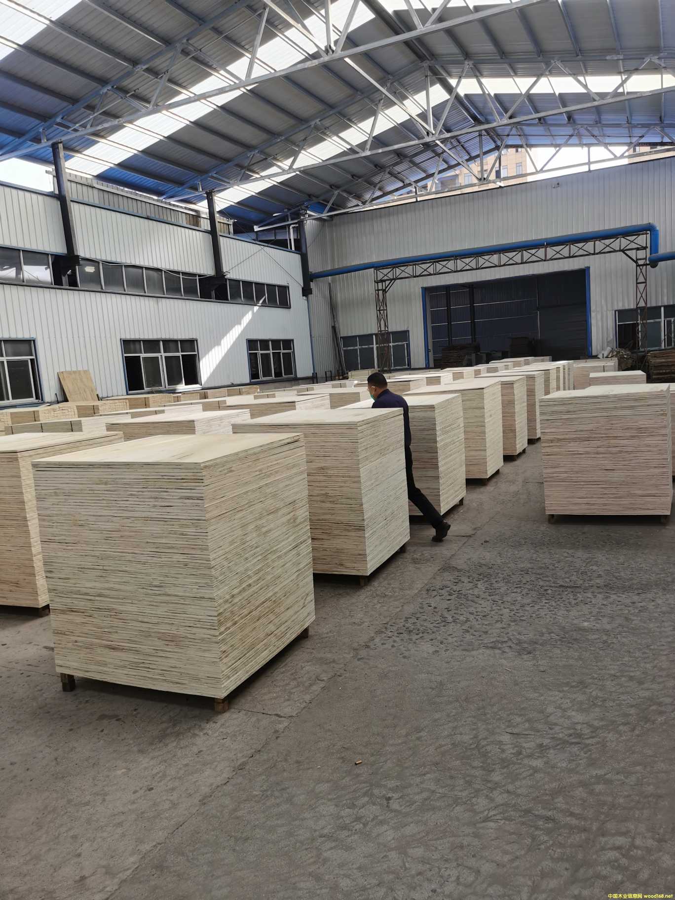 [��] �z�ϰ������b�����бP�������Ͱ���LVL���l