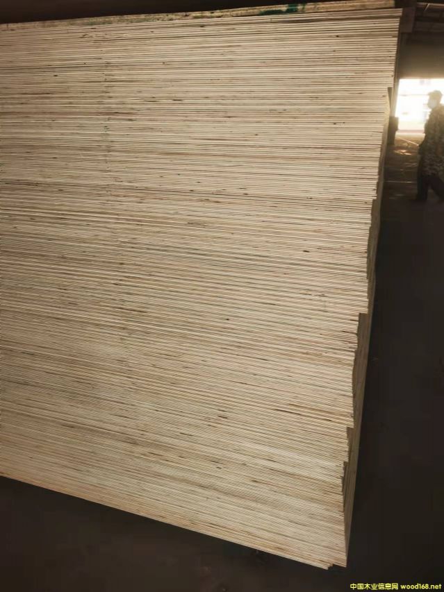 [��] 12�� 15�� 18�� ���� ȫ����ζ��ӼҾ߰����