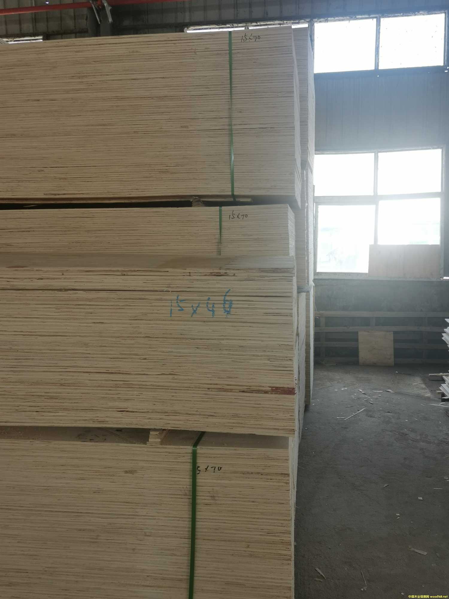 CARBP2��E1��E2 ��ľʮ����� ɳ�l(f��)�� �ɶ���