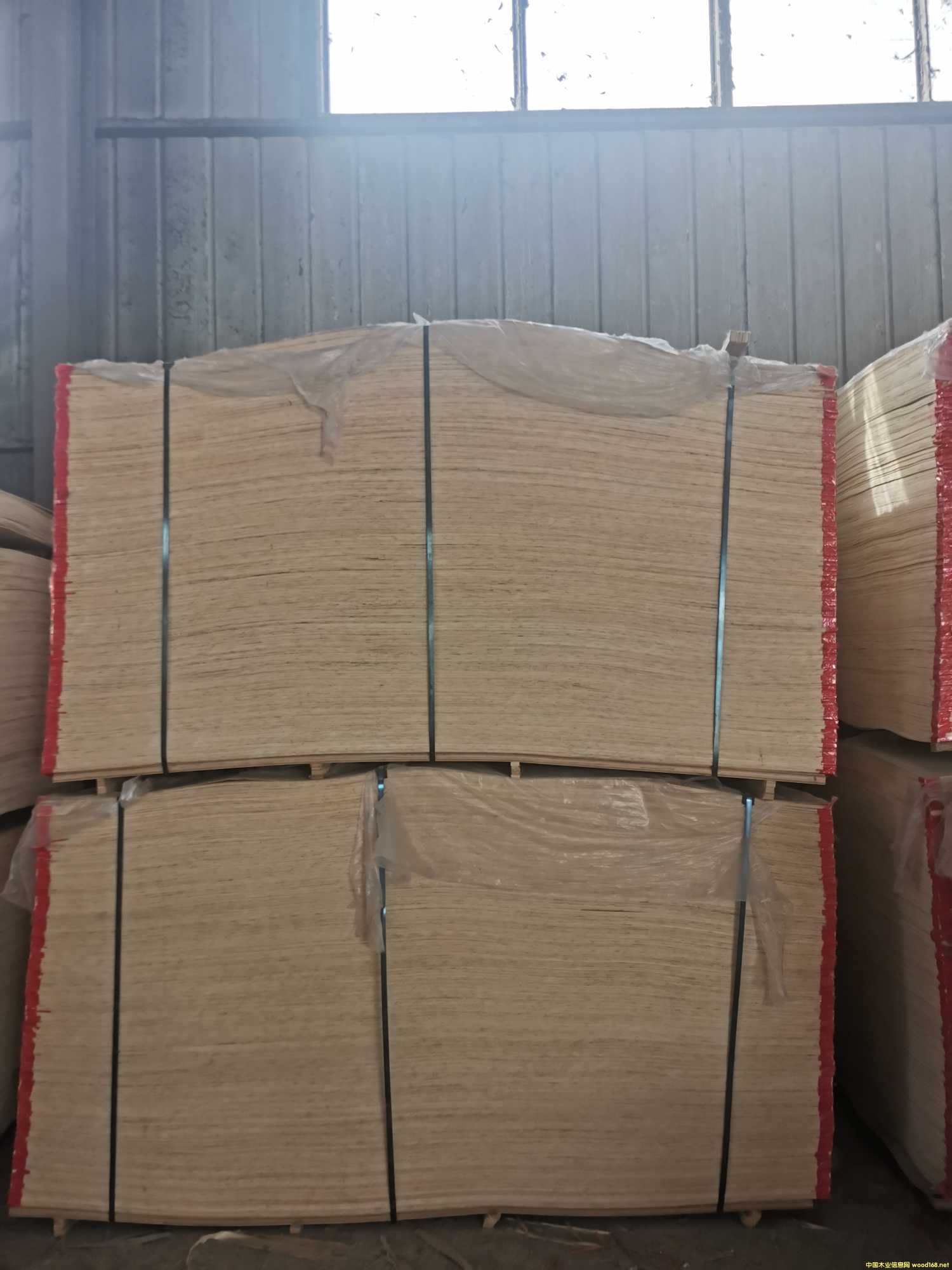 CARBP2 ����� ɳ�l(f��)���Ԕ��(x��)��B