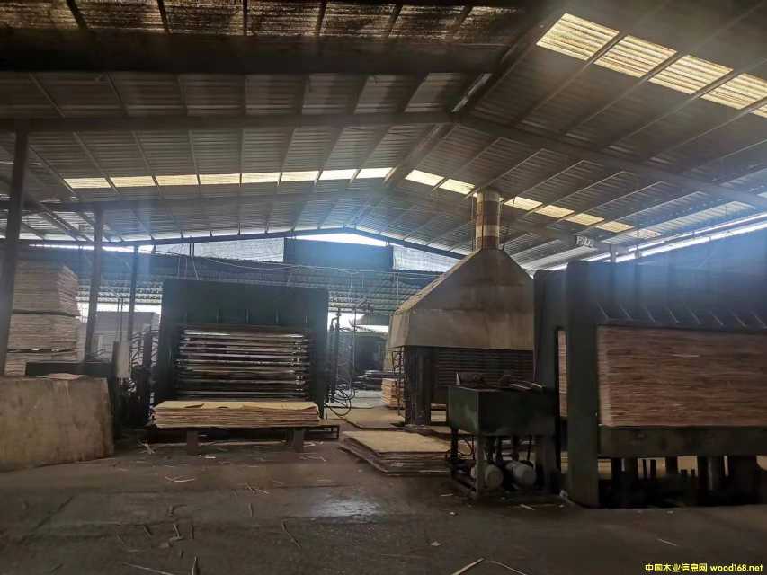 [��] ���Ӱ����Ҿ��������d�������b�塢�T�װ����