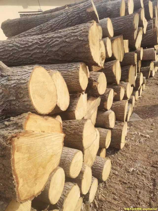 ���I(y��ng)�a(ch��n)Ʒ