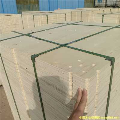 ܇չ���_(t��i)��