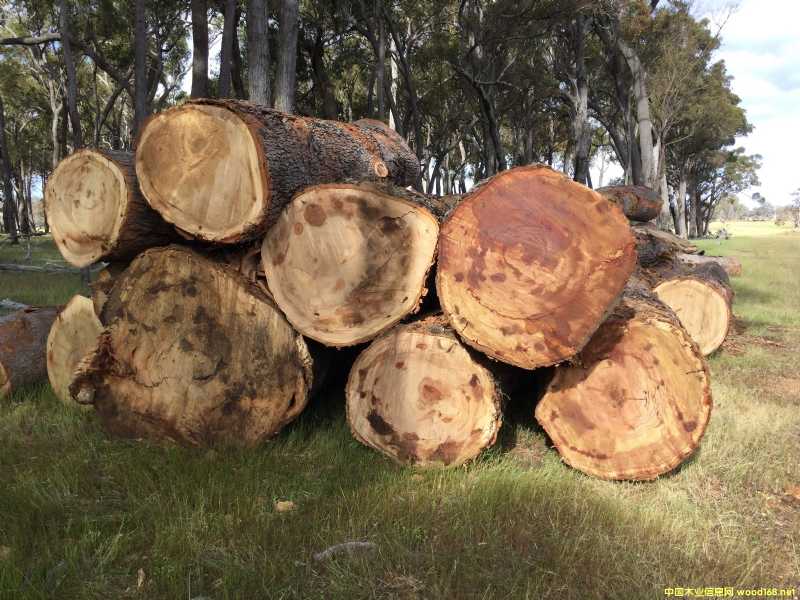 ���~�t���Ԕ��(x��)��B