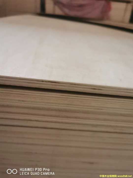 �p����ľľƤ�Ҿ����Ӱ�5��