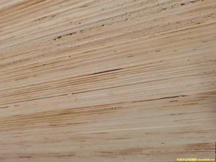 的詳細(xì)介紹